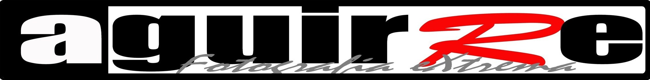 logo aguirre